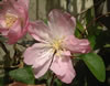 dscf0070.jpg