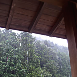雨だれ