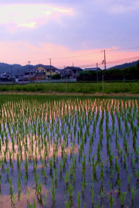 雲間の夕映え