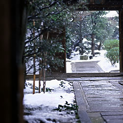 初雪