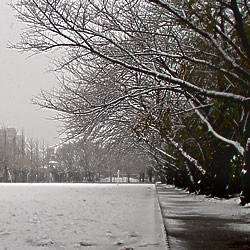 雪の風景