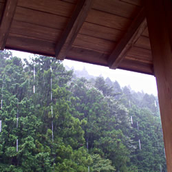 梅雨入り