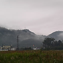 時雨のあと