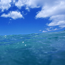 海の季節