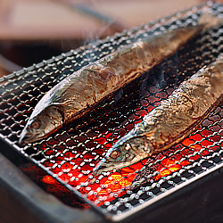 秋刀魚